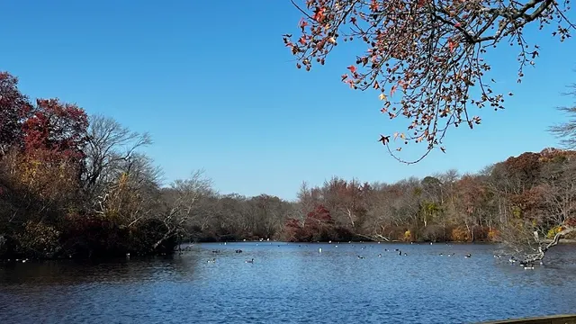 Belmont Lake State Park photo 1