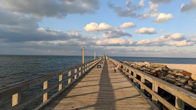 Cedar Beach Town Nature Preserve photo 1