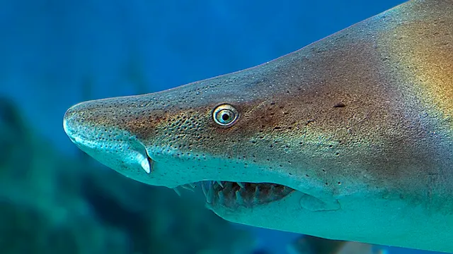 The Maritime Aquarium at Norwalk