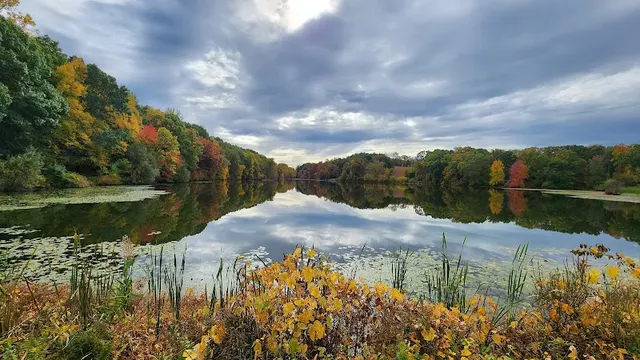 Rockefeller State Park Preserve photo 1